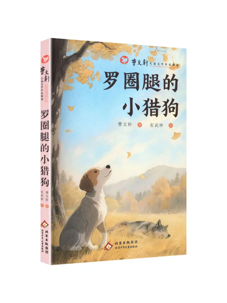 Book-Winshare The Dog With Splayed Legs