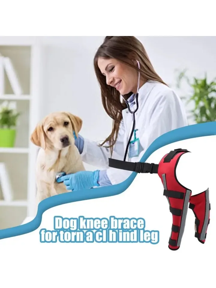 犬用膝サポーター ACL断裂後肢サポート