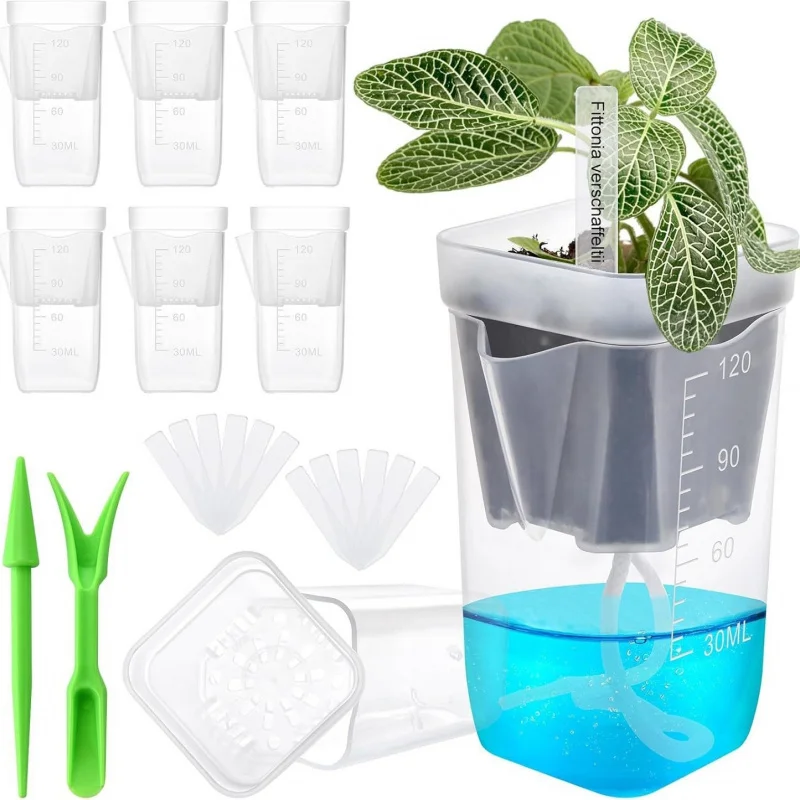 Thickened Transparent Square Succulent Plant Dry-Wet Separation Cultivation Seedling Pot Box for Garden Care