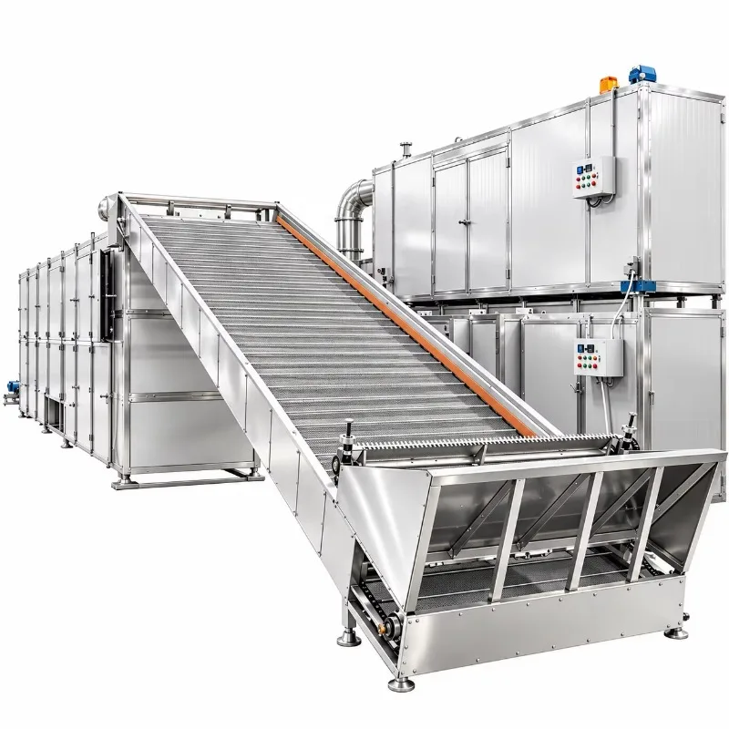 Customize Multi Layer Continuous Mesh Belt Dryer Full Automatic Fruit Vegetable Drying Machinery for Deep Processing