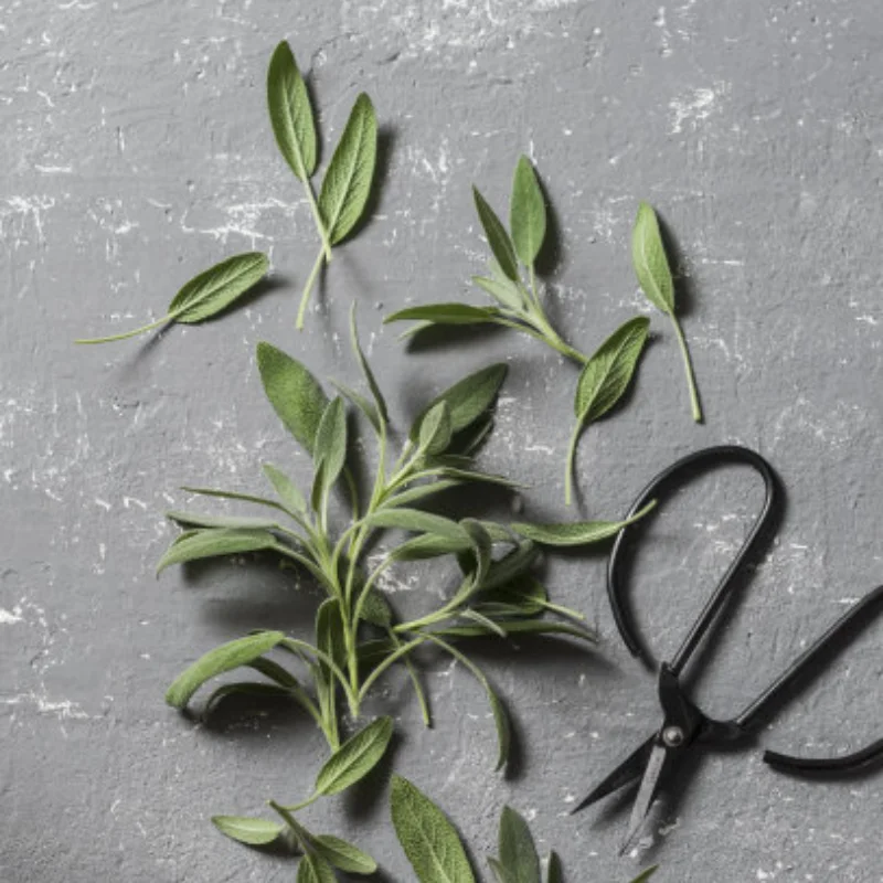 

For SCY 16101 PRO 16102 PRO RC Car Motor Seat