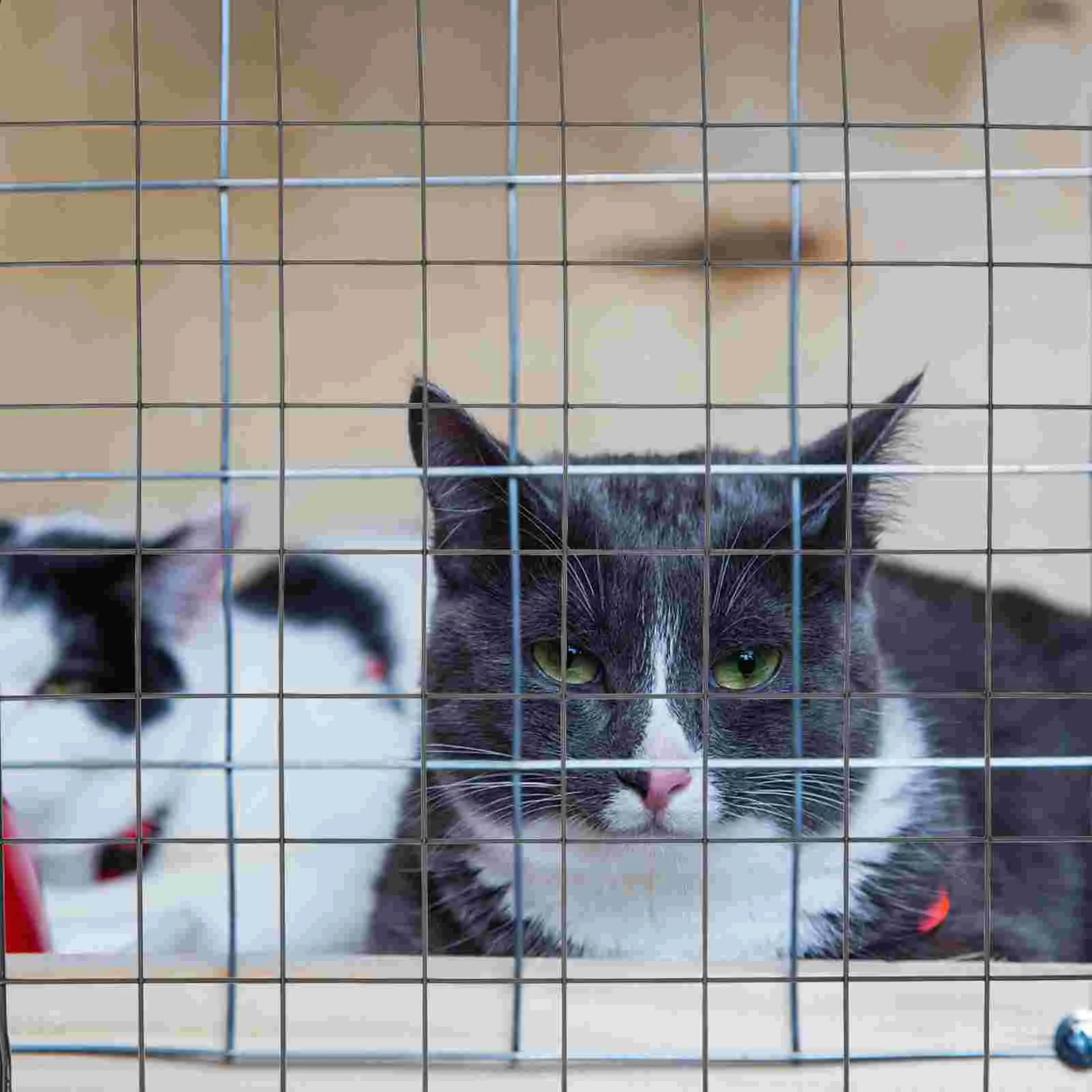 4 pçs gaiolas para cães interior pet cerca malha esgrima acessórios cercadinho isolamento preto