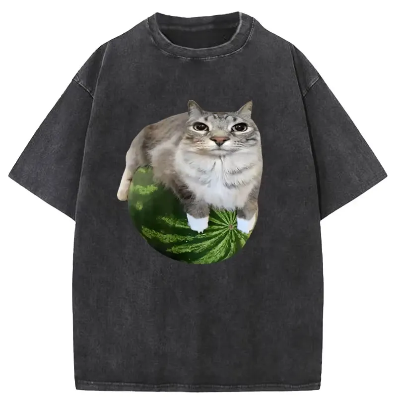Watermelon Cat Silly Cat Meme T-Shirt A Hilarious Watermelon Print Shirt Unisex Top for Both Men and Women T Shirts