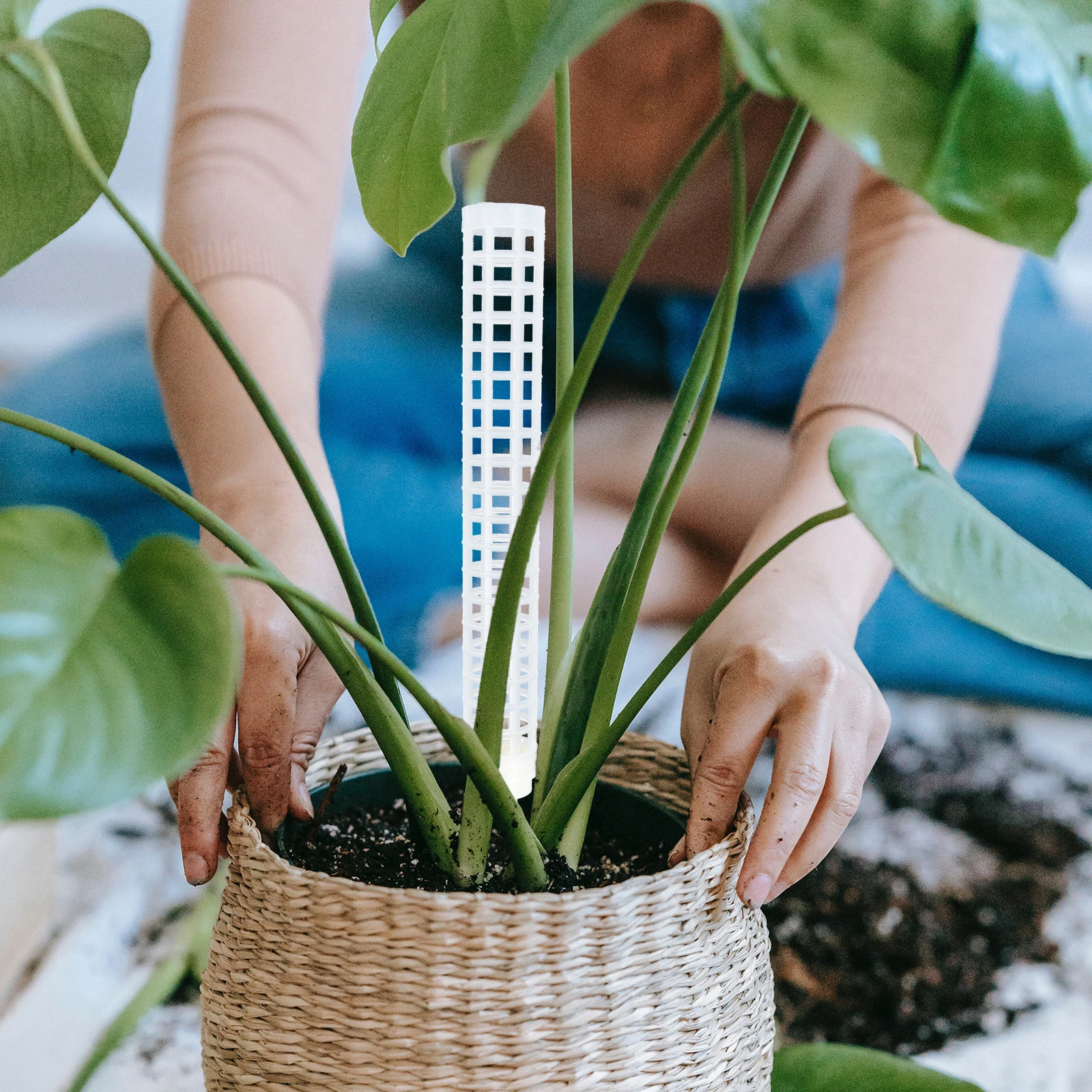

4pcs Plant Column Water Moss Pole Garden Supply For Climbing Plants Vine Support Rack Flower Support Sturdy Plastic Plant