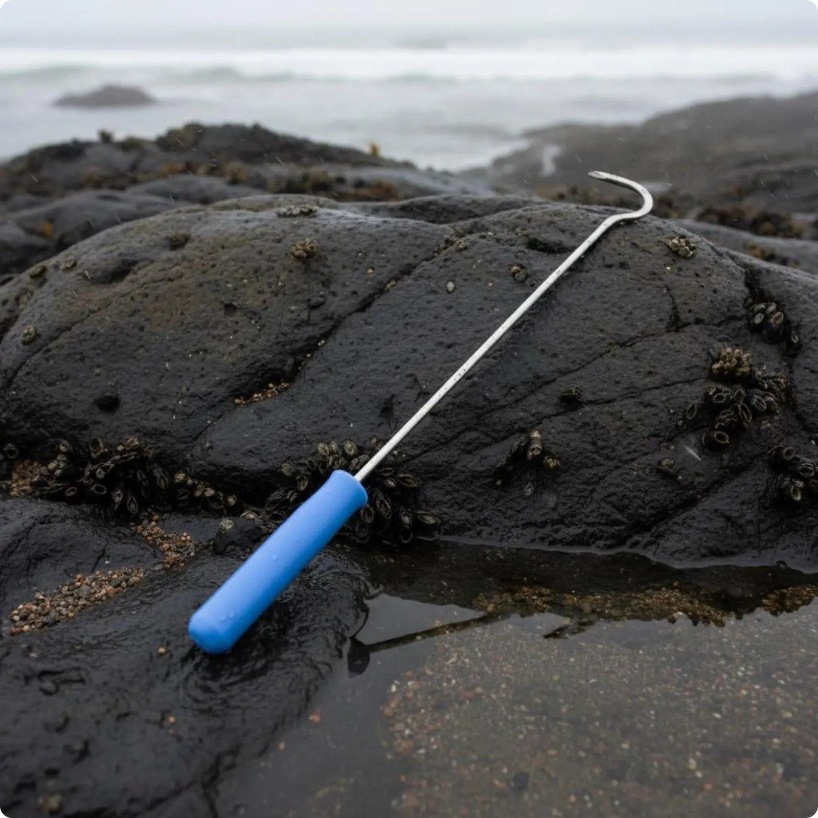Hook Stainless Steel Crustacean Hook Rust Resistant Shoreline Tool for Beachcombers, Fishermen, Beach, Coastal Flat