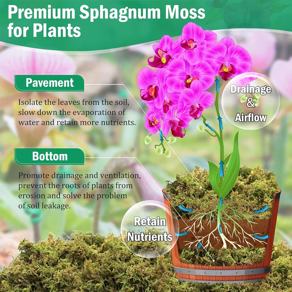 Natural Dried Moss, Artificial - Preserved Moss Sheet recension och pris