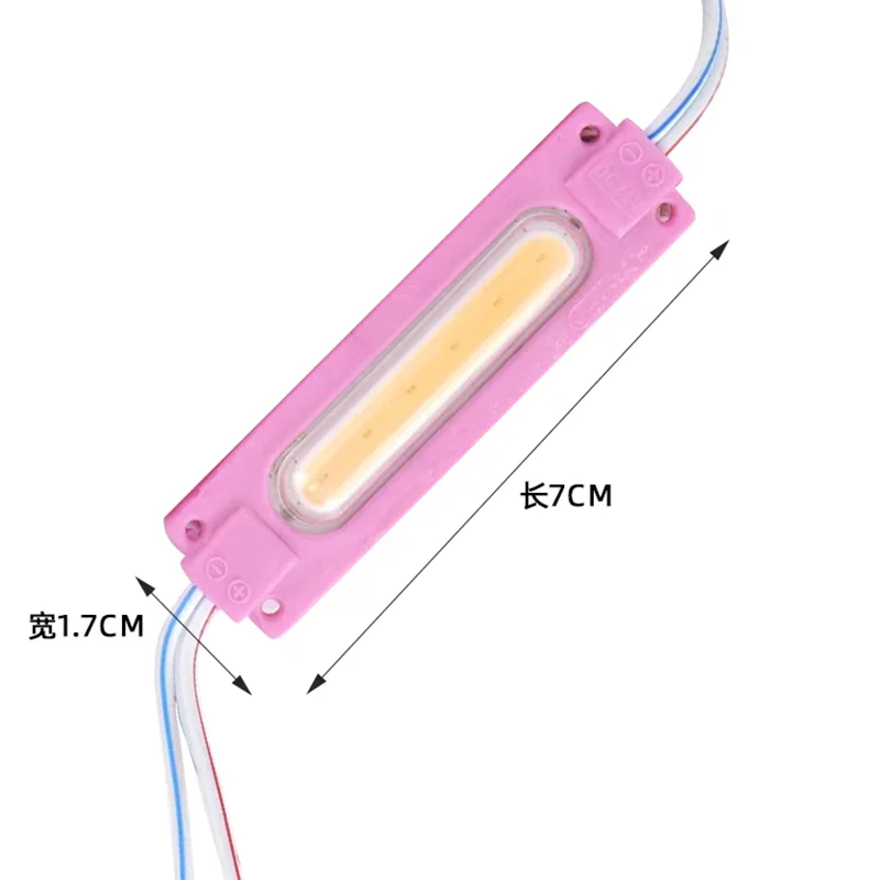 10PCS 6LED Light Modules DC12V 2.4W COB Led Module Advertising  Backlight IP65 Waterproof White Red Blue Green Yellow Pink
