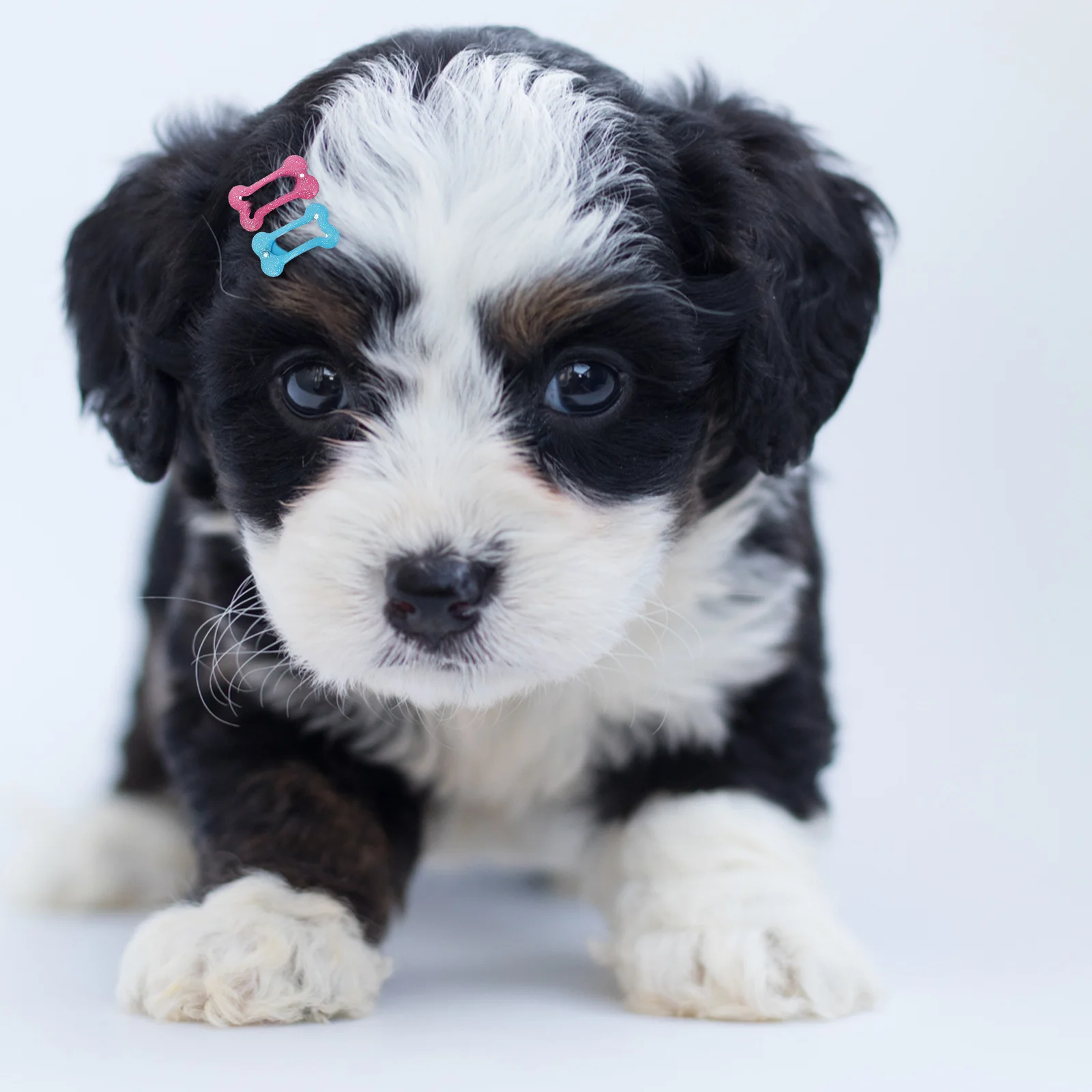 

15pcs Dog Hair Clips Bone Shaped Pet Accessories Durable Decorative Puppy Hairpins Safe Material Styling Daily Use Event Pet