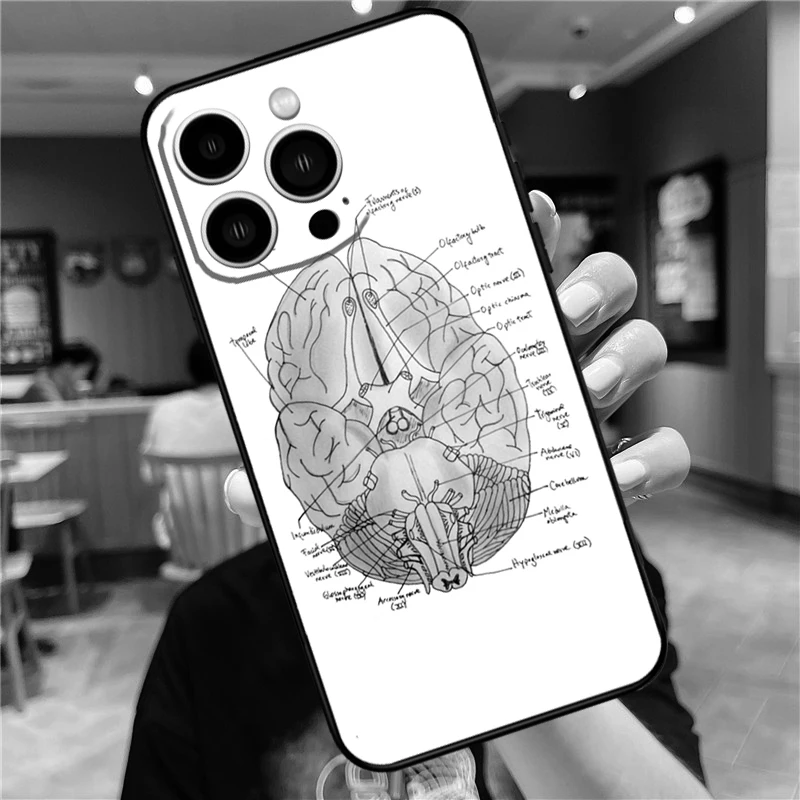 Anatomy Brain Case For iPhone 16 15 14 13 12 11 Pro Max Mini 7 8 Plus X XS Max XR Full Protect Cover