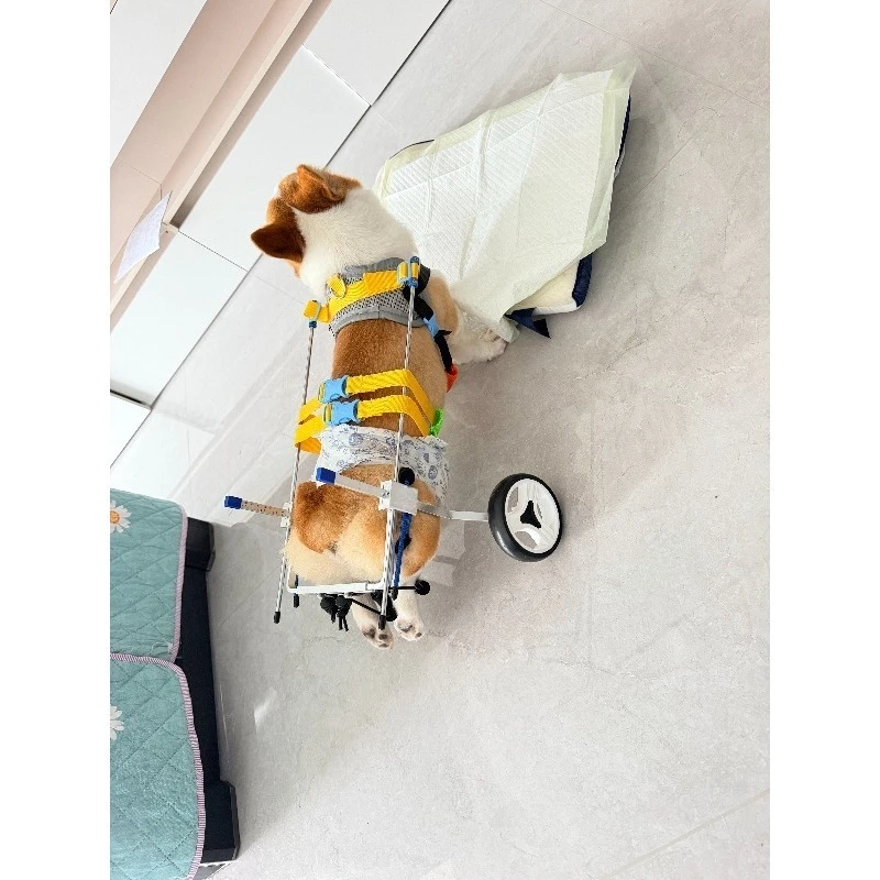 Aluminum Dog Wheelchair Pet Walk Cart Scooter Handicapped Rear Leg Adjustment Disabled Pet Anti-Shock Support Mobility Aid