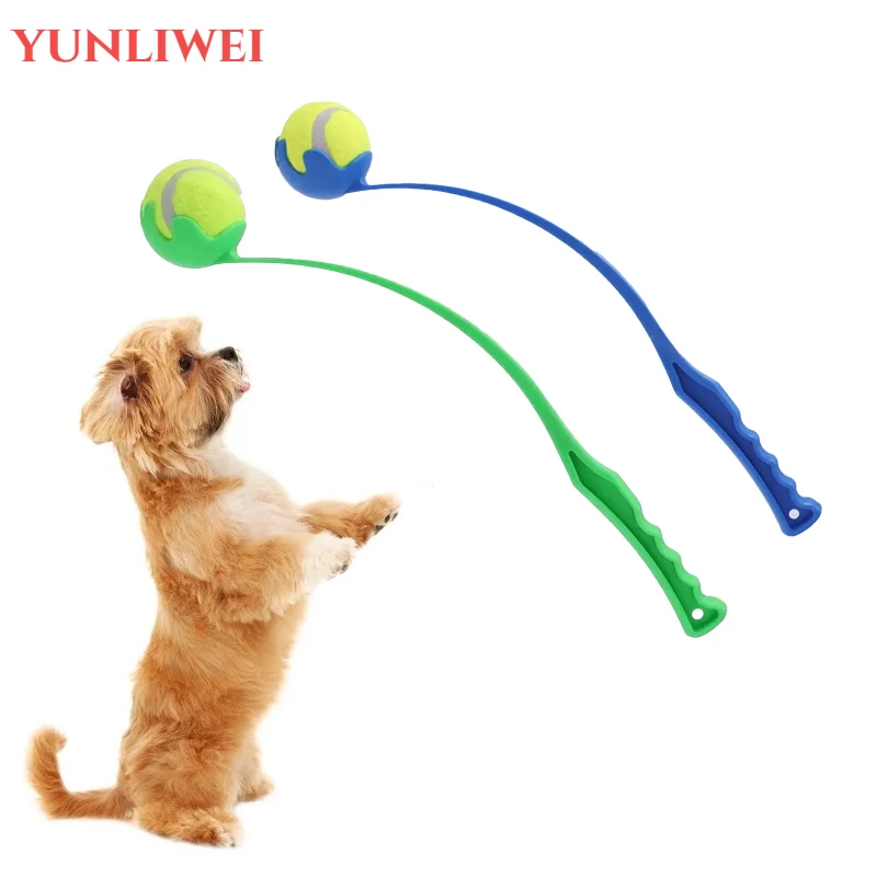 #1 New Dog Fetch Toys Arrivals