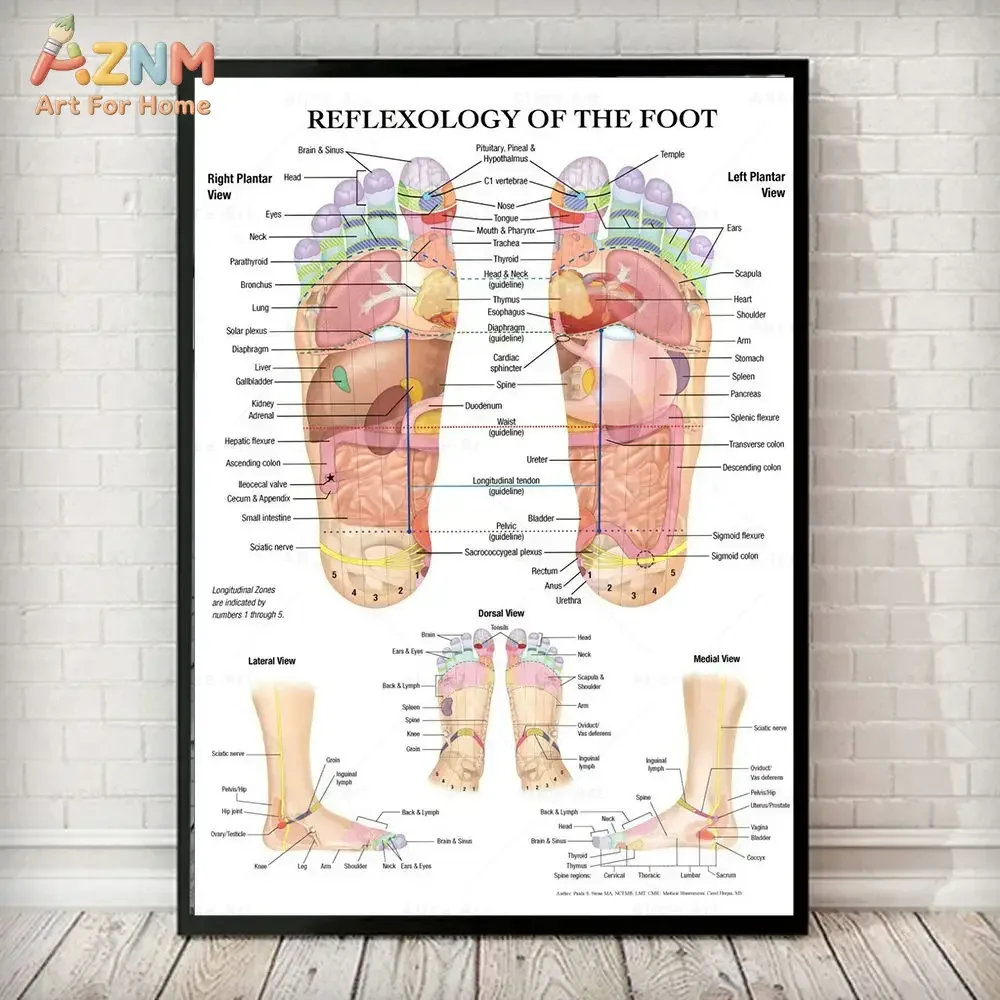 AZNM Foot Reflexology Chart Canvas Wall Art, Frameless Acupressure Massage Therapy Anatomy Print, Educational Medical Home Decor