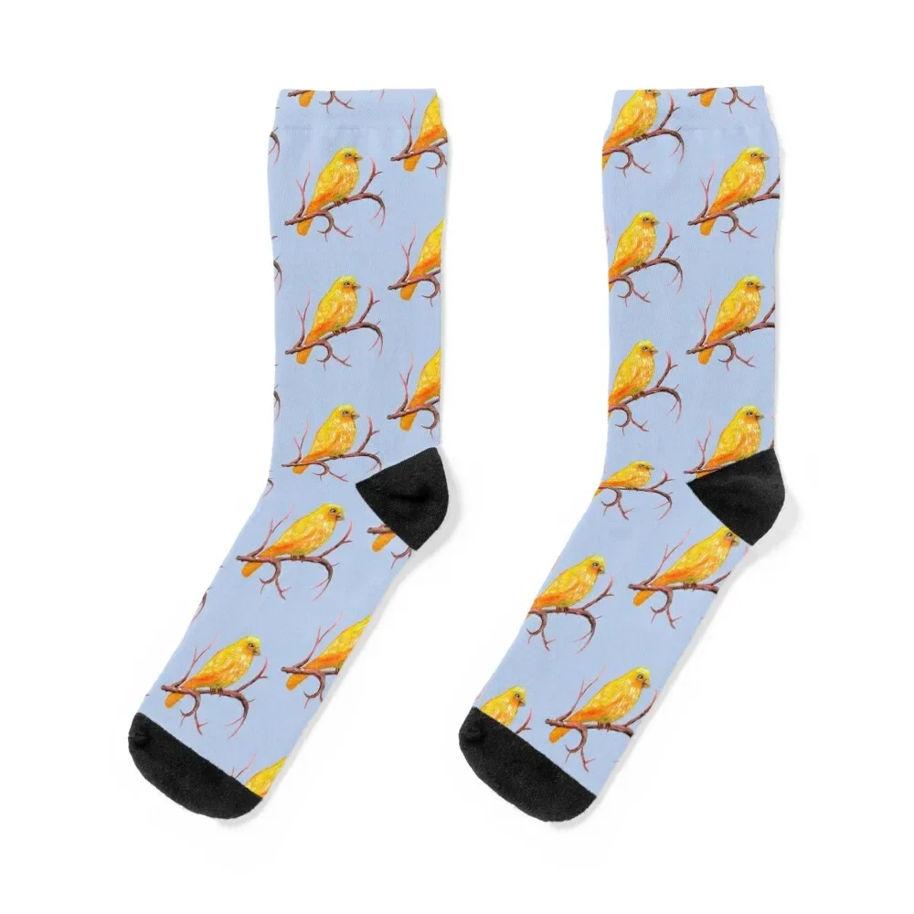 Canary Bird Socks Children's snow Socks For Man Women's