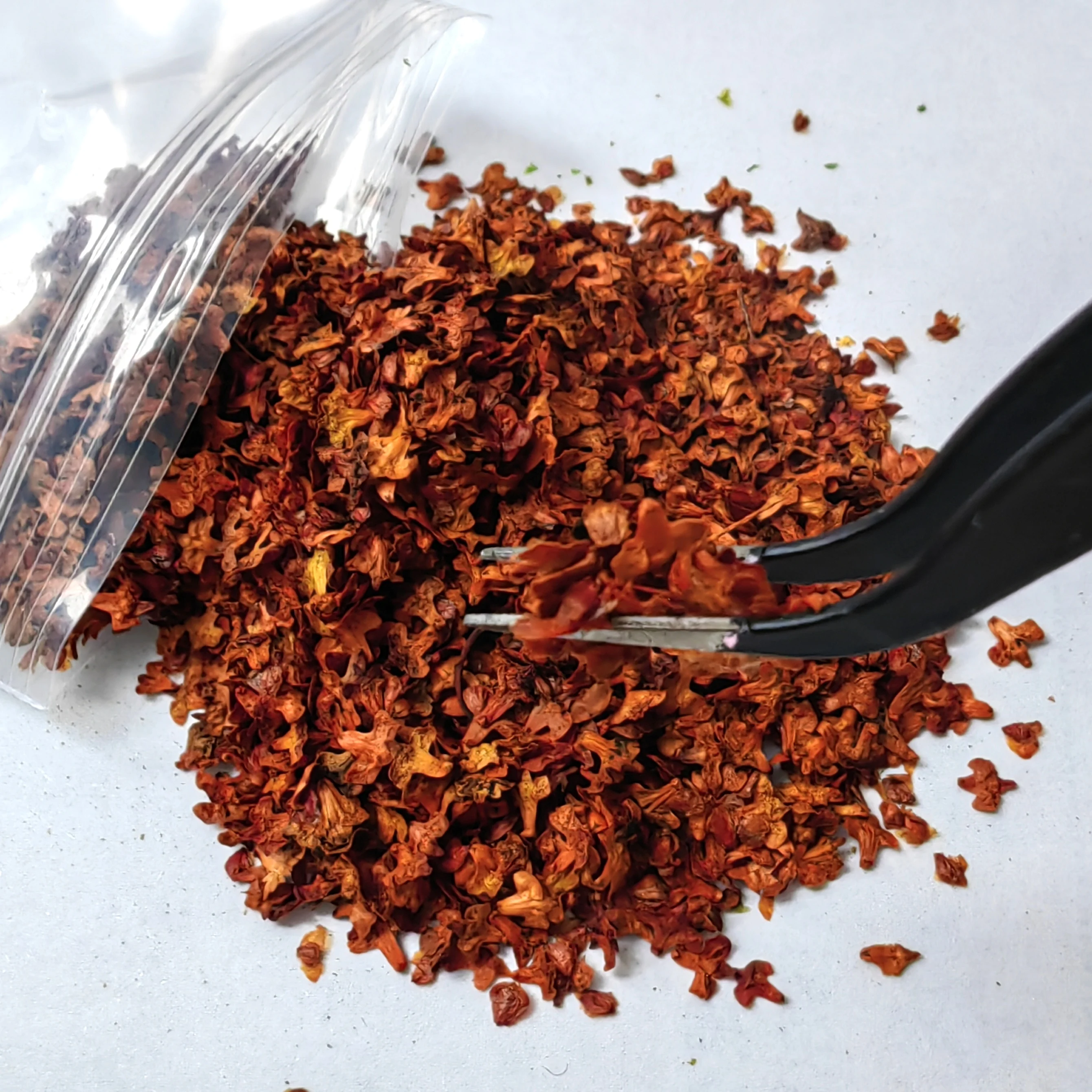 Folhas em miniatura 33ml simulação folhas caídas para modelo diy base ferroviária fada jardim diorama suprimentos acessórios de vila