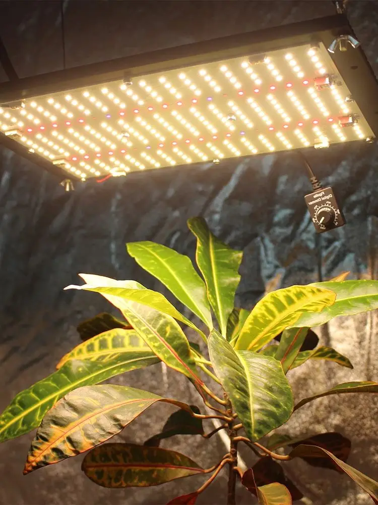المخزون في البرازيل! أحدث Samsung LM301H Quantum Tech V5 لوحة ضوء 120 واط 240 واط LED تنمو ضوء ميانويل سائق للضوء النباتي