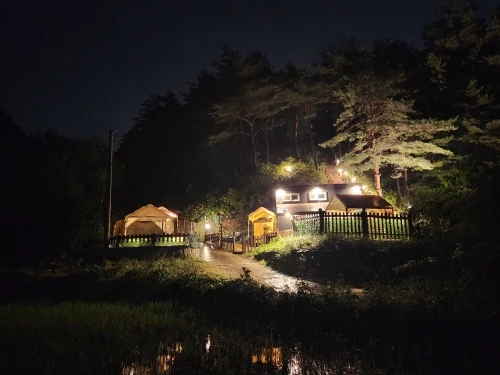 구매후기
