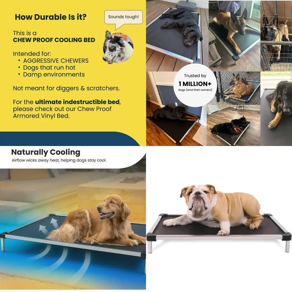 Sturdy Outdoor Cool…