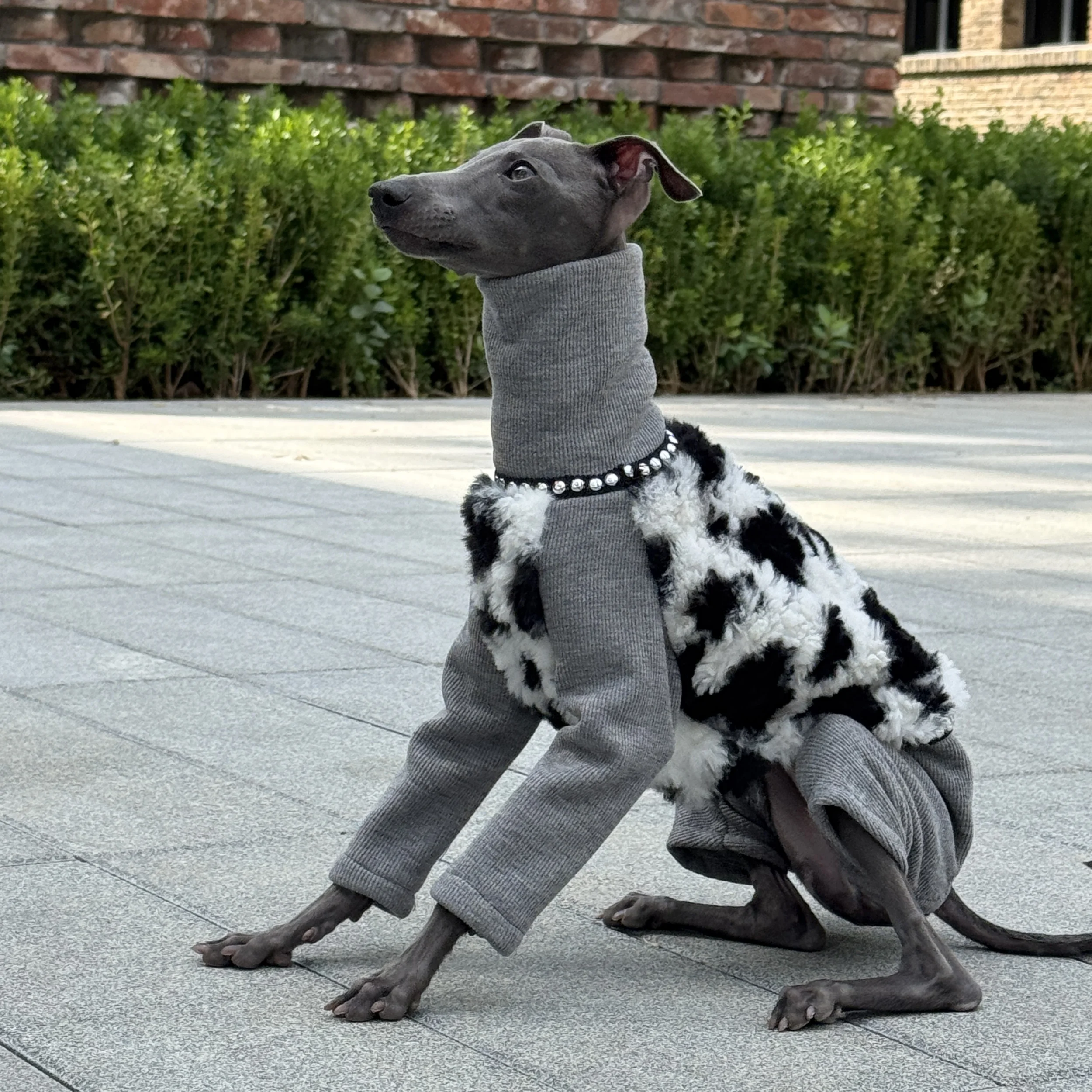 felpa-grigia-in-due-pezzi-con-collo-alto-falso-per-meta-cani-cappotto-invernale-morbido-a-4-gambe-per-levriero-italiano-tuta-calda-per-whippet
