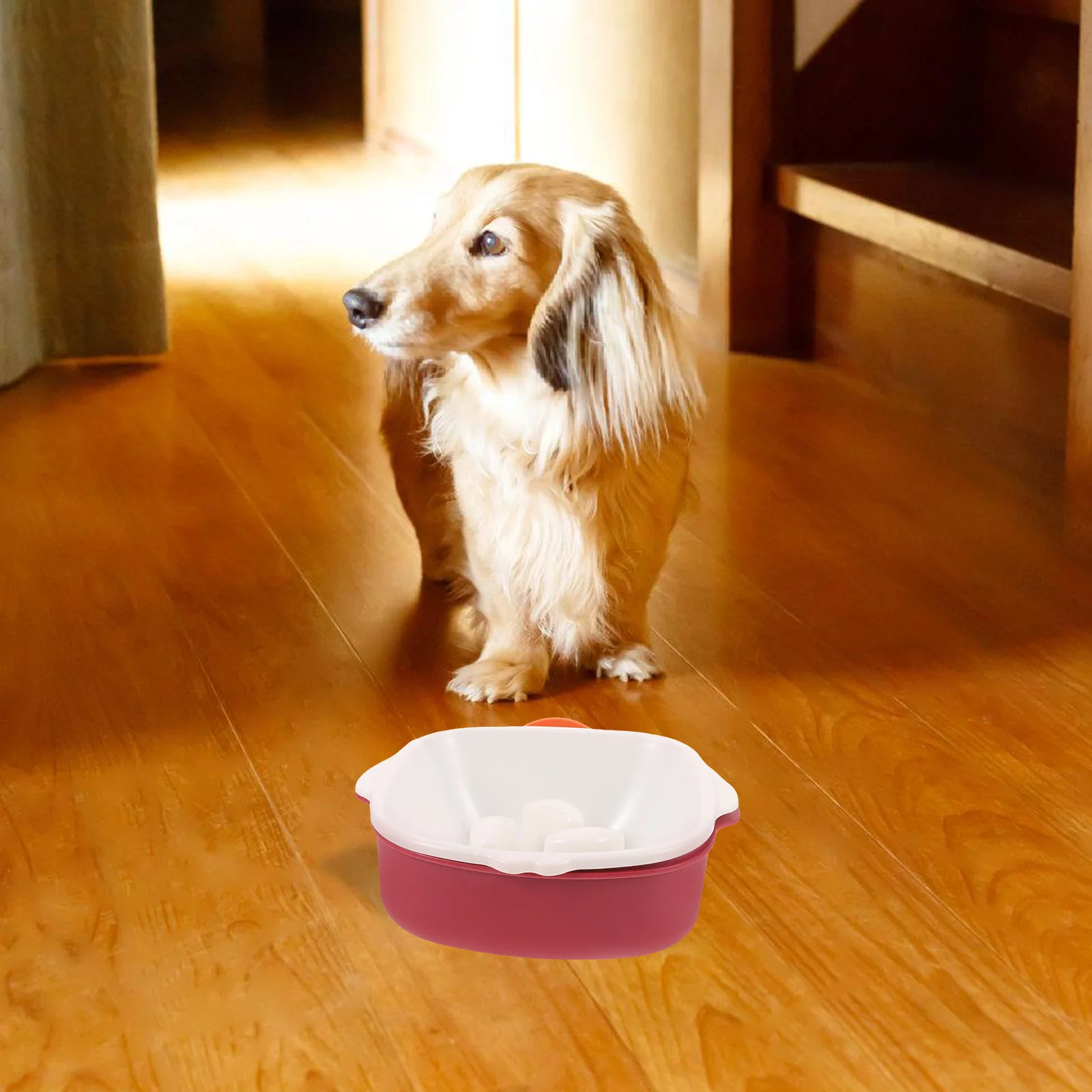

Slow Feeder Dog Pet Food Bowl for Dogs Cats Wear-Resistant Plastic Floor Dog Bowls to Reduce Bloat Vomiting Puppy Eating Bowl