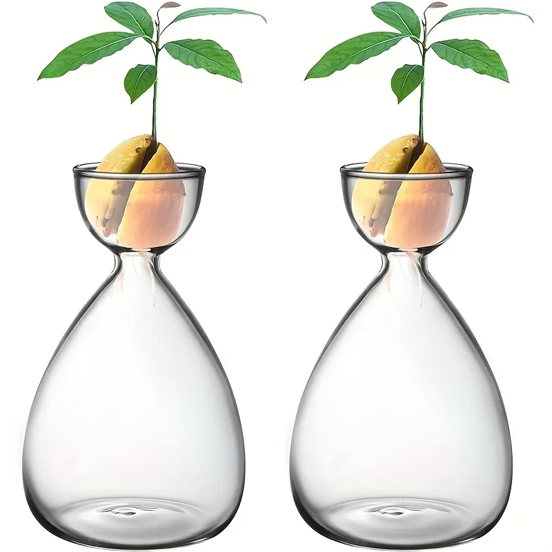 

2pcs Small Avocado Seed Starter Vase, Avocado Tree Growth Kit, Avocado Glass Planter Vase Gift for Gardening Lovers
