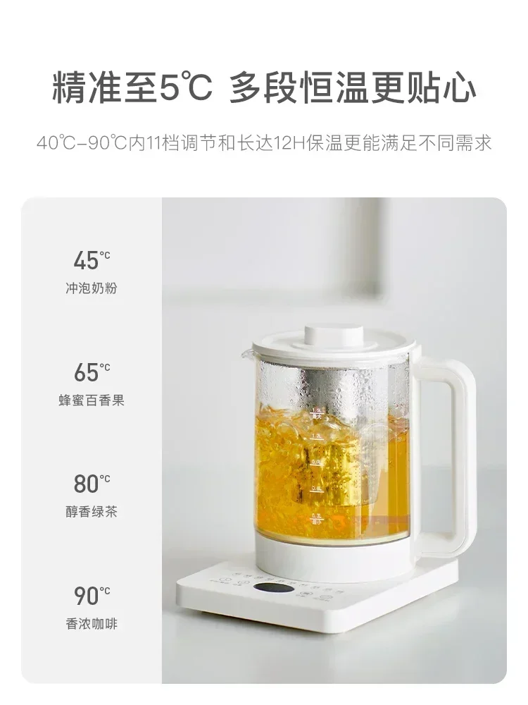 health pot small office multi-functional household glass kettle teapot flower teapot chaleiras eléctricas  hervidor de agua