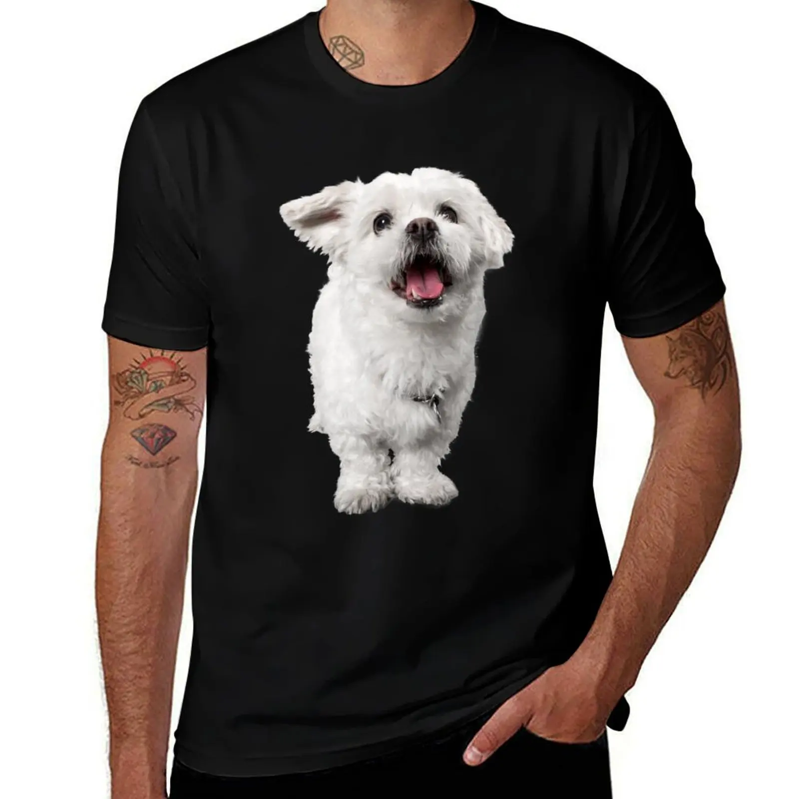 Bichon Maltes T-Shirt t shirt man plain T-Shirt