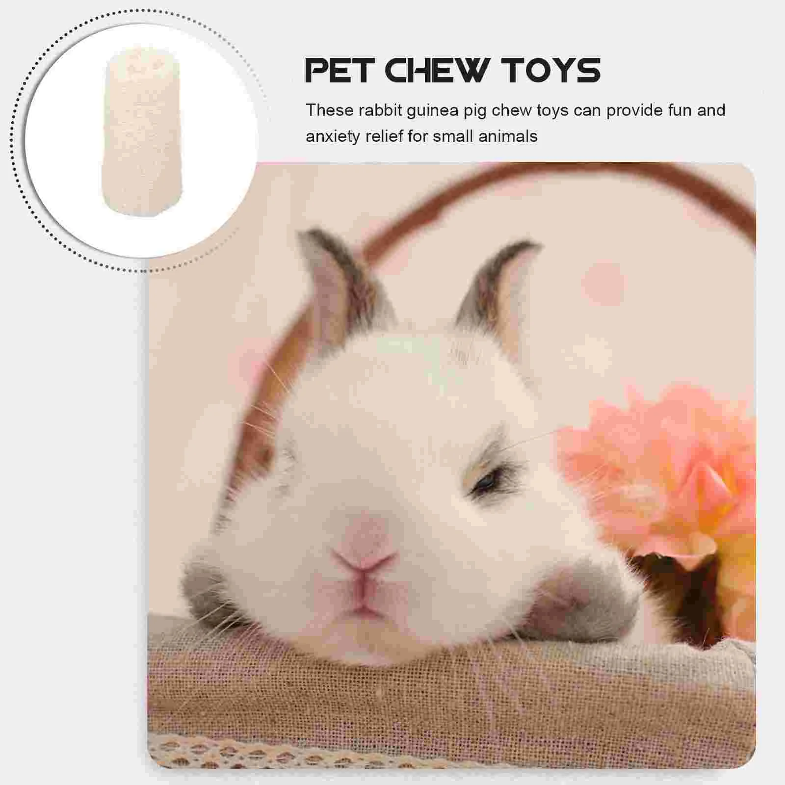 Rat Treats for Pet Rats Teething Toys Guinea Pig Accessories Rabbit Chew Baby Kit