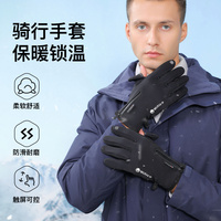 Warm Gloves for Winter Fishing Cycling Windproof Durable Anti Slip Waterproof Touchscreen Thermal Insulation Gloves Women Men