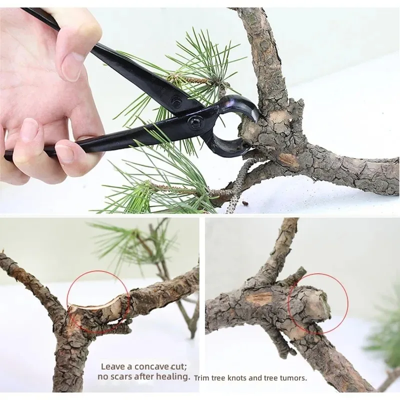 for Pruning Shears Potted Stainless Steel Floral Garden Flower Branch Horticultural