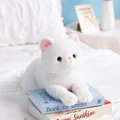 50cm White