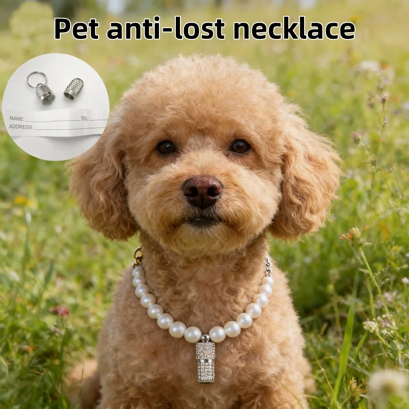 Pet Name Address ID Tags Metal Storage Tube Anti Lost Hanging Collar Necklace Mini Capsule For Dog Cat Pet Collar Accessories