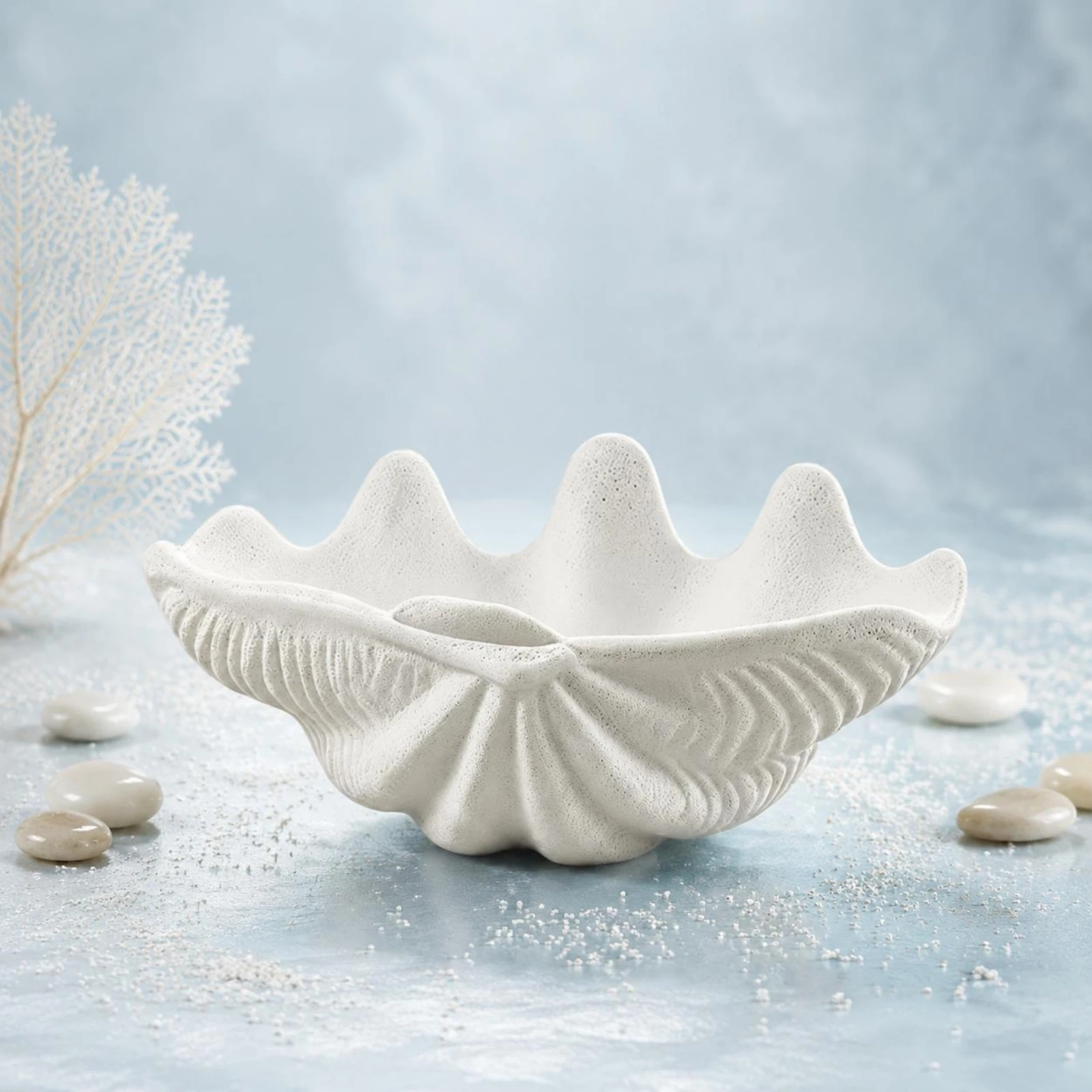 Clam Shell Bowl Modern Minimalist Seashell Decorative Bowl Ocean Aesthetic Shell Ornament Artistic Design for Hotel, Living Room