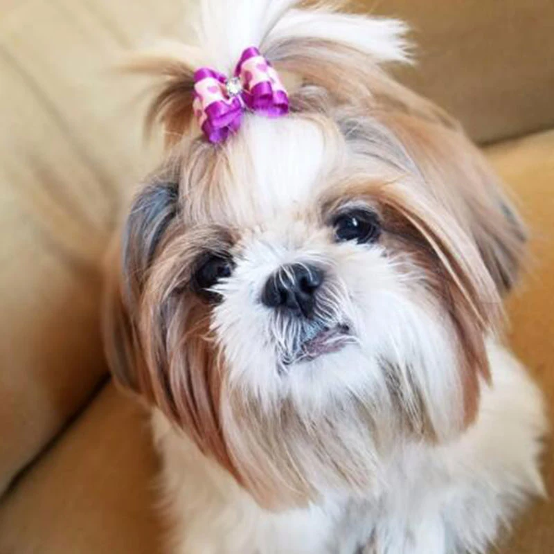 Colorful Puppy Hair Bows Decoration Small Dog Bows Hair Rubber Bands Pet Headflower Cute Fashion Pet Head Flower Dog Accessories