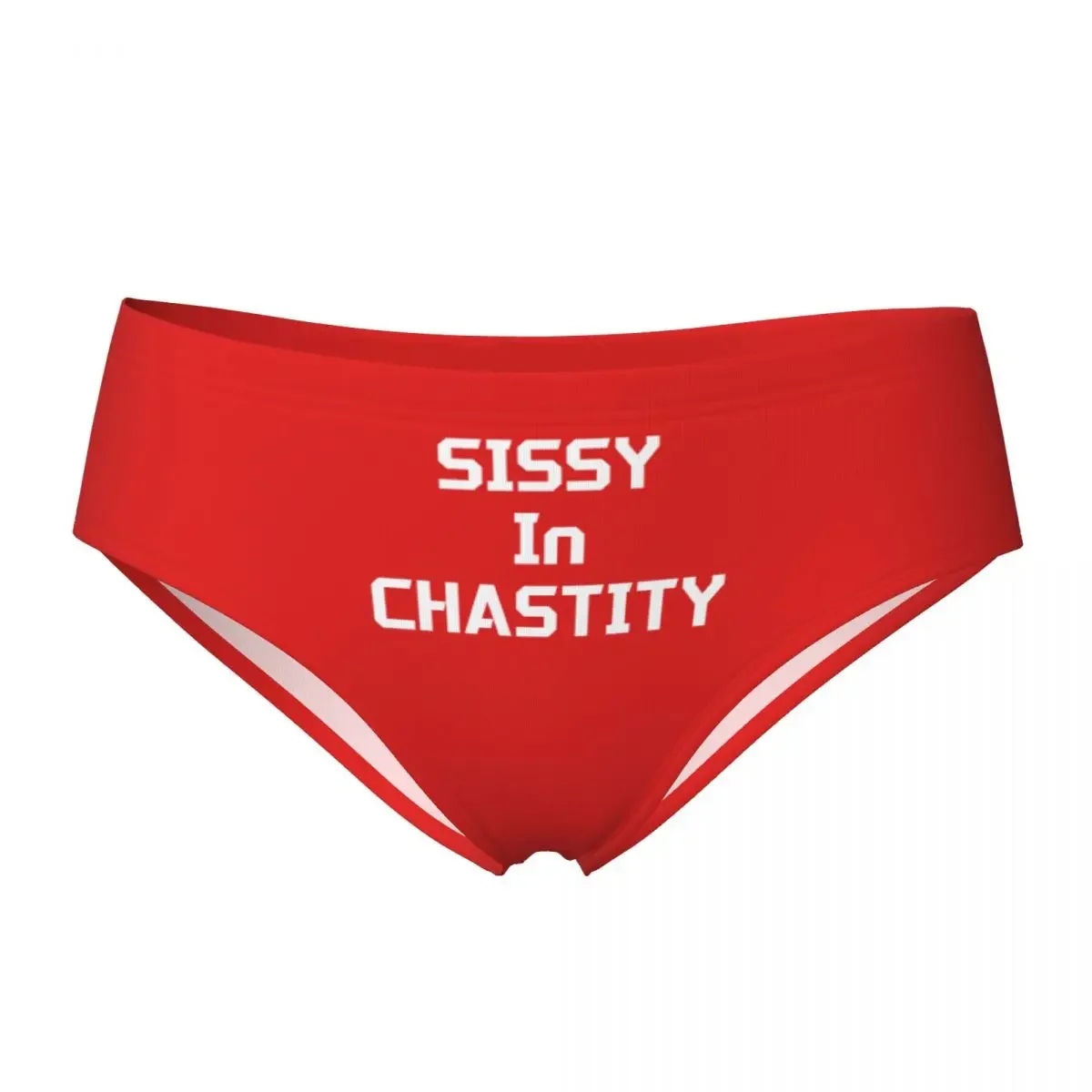 

Custom Womens SISSY IN CHASTITY Panties Breathable Briefs Underwear