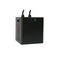 Small 160L Water Cooling Machine 220V 1/10HP Water Chiller for Cold Plunge Pools