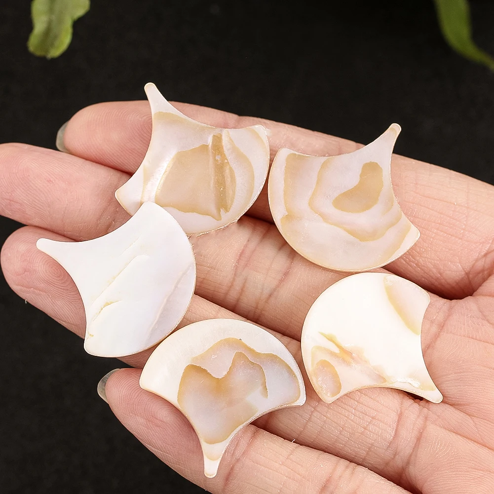 5pc Natural Shell Pendant 25mm Fish Scale Shape Freshwater Shell Bead Charm for Jewelry Making DIY Necklace Earrings Accessories