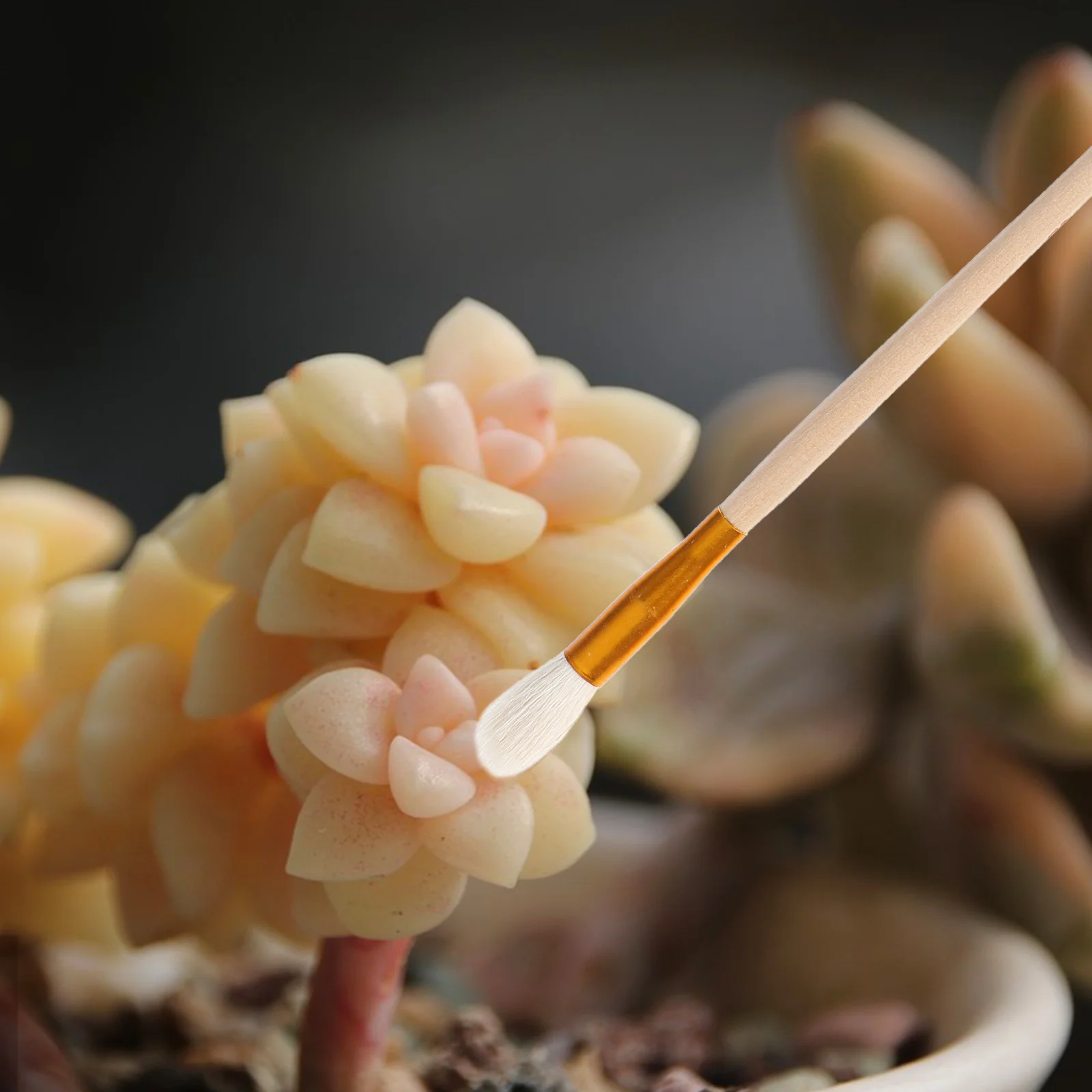 

5Pcs Hand Pollination Brush for Vegetables Fruits Flowers Garden Pollinator Tool Plant Pollination Supplies Kit