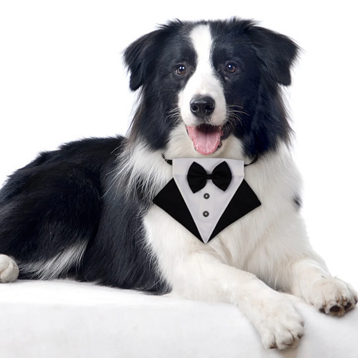 

1 set Bib Collar Cotton Triangular Scarf For Outdoor Dog Drool Bibs Triangular Scarf Supplies Bandana For Dog