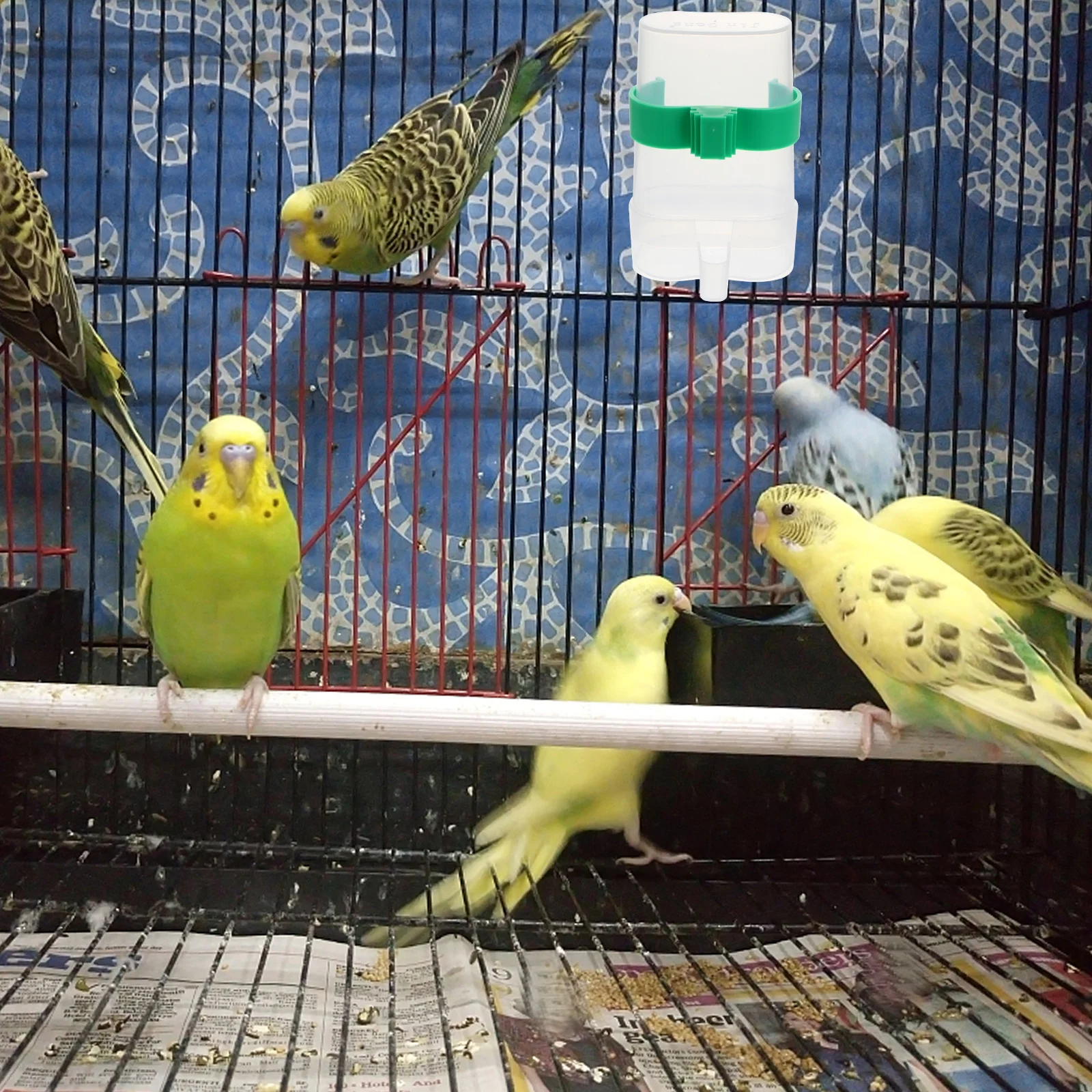 

2Pcs Parrot Bird Drink Bottle Plastic Feeder Automatic Water Dispenser Suitable for Budgie Cockatiel Small Bird Aviary Use