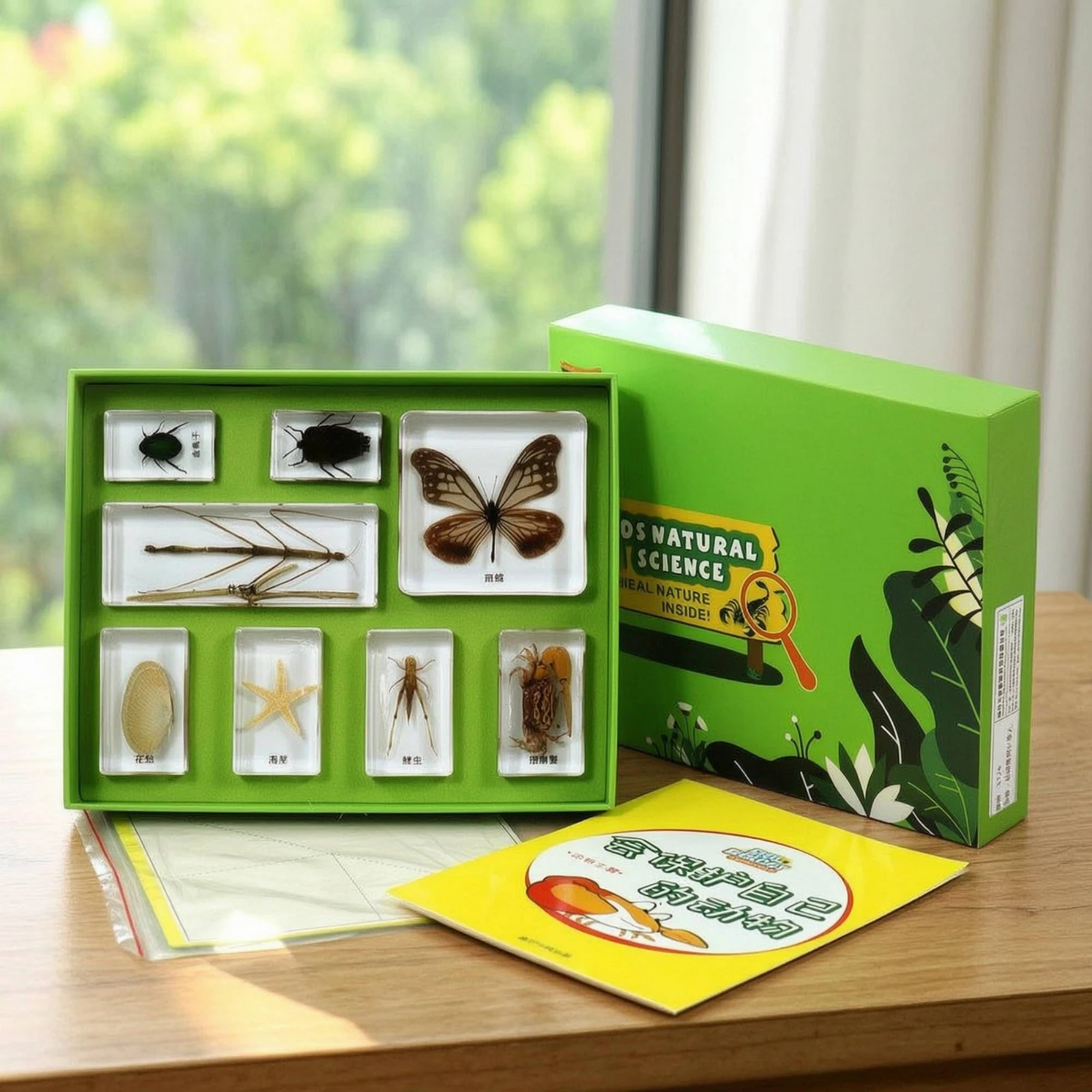 bloques-de-resina-con-bandeja-caja-de-exhibicion-de-muestras-educativas-kit-de-ciencia-coleccionable-real-para-maestros-y-aulas