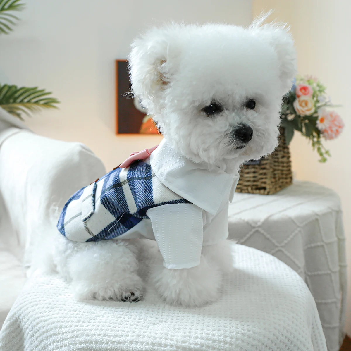 1PC Pet Clothing Spring and Autumn Handsome Gentleman Blue Grid Tailcoat Coat Suitable for Small and Medium sized Dogs