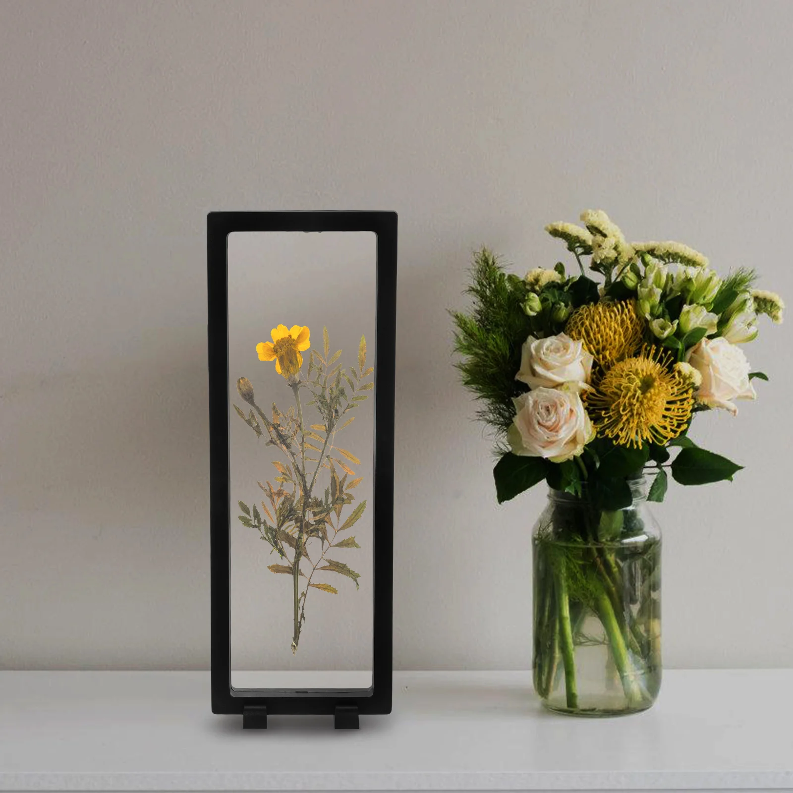 

Clear Specimen Display Frame 3D Floating Case Plastic Desktop Stand For Coins Shells Jewelry Crystal Plants Animals