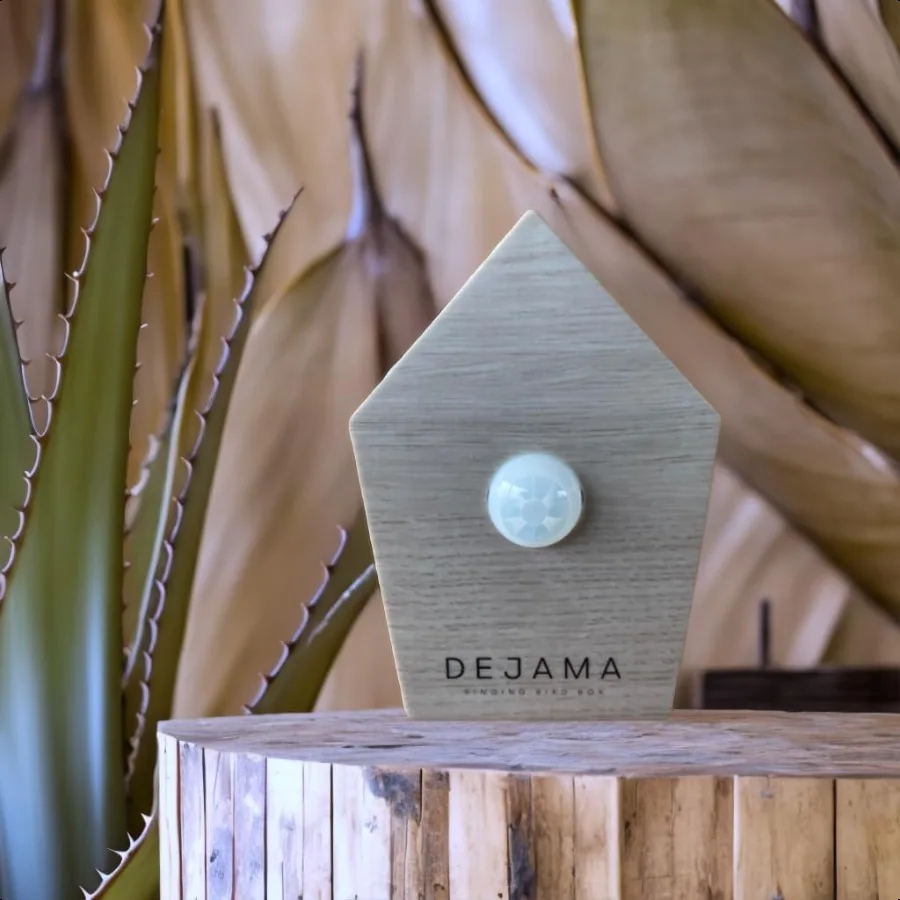 Singing Bird Box Ambient Noise Birds Chirping Songs Zwitscher Bathroom Sounds Relaxing