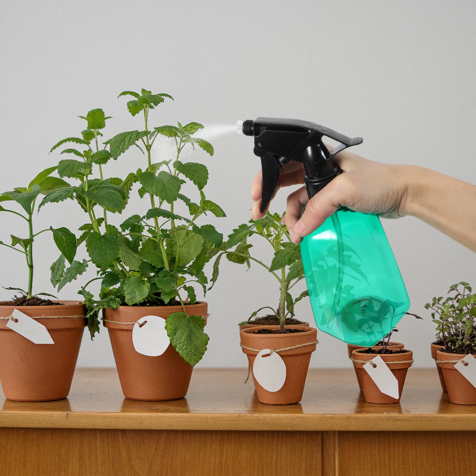 

2 Pcs Watering Can Spray Bottle for Plants Refillable Barber Planter Mister