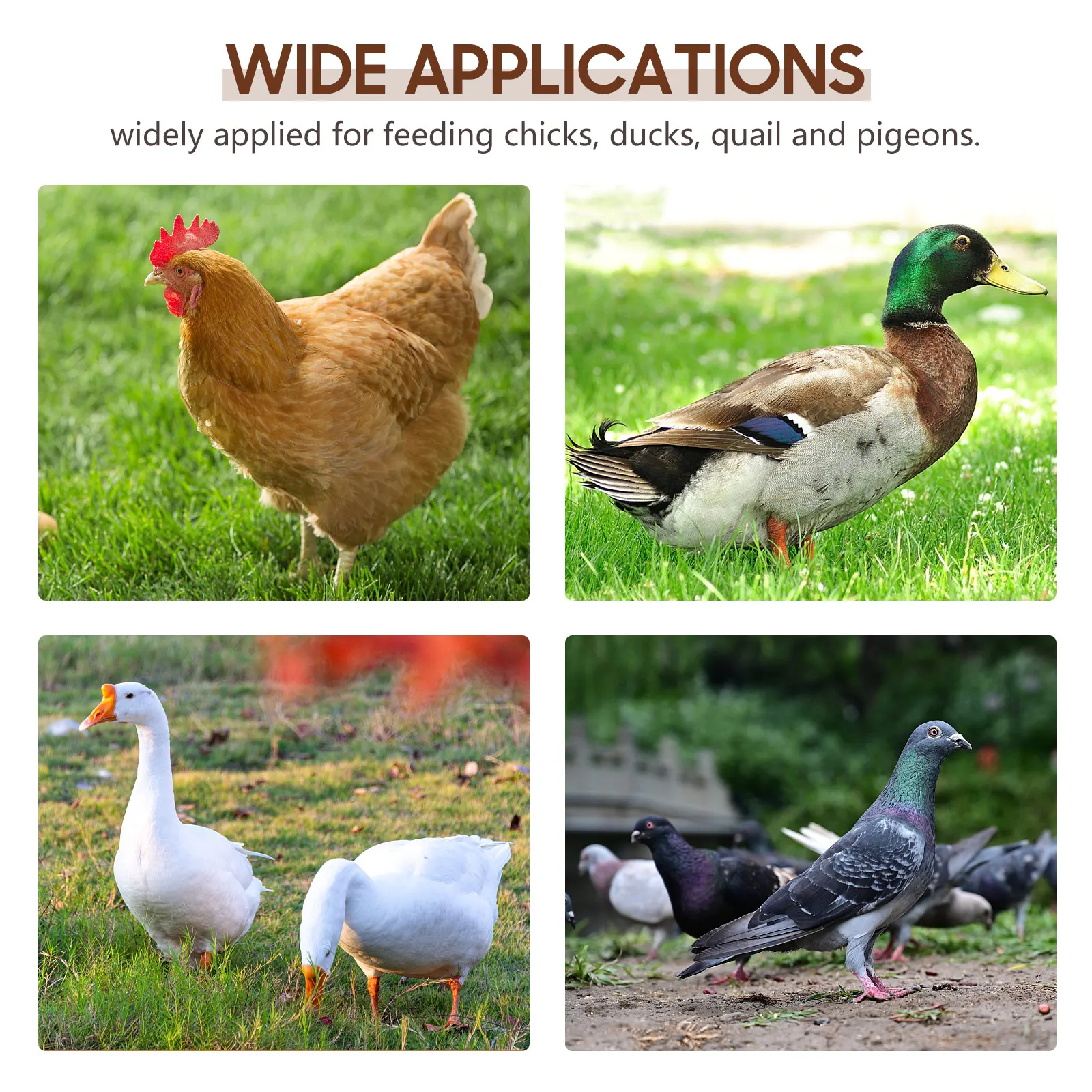 

2Pcs Durable Plastic Poultry Feeder Chicken Duck Food Trough Easy Clean Anti Spatter Sun Protection Smooth Surface Long Lasting