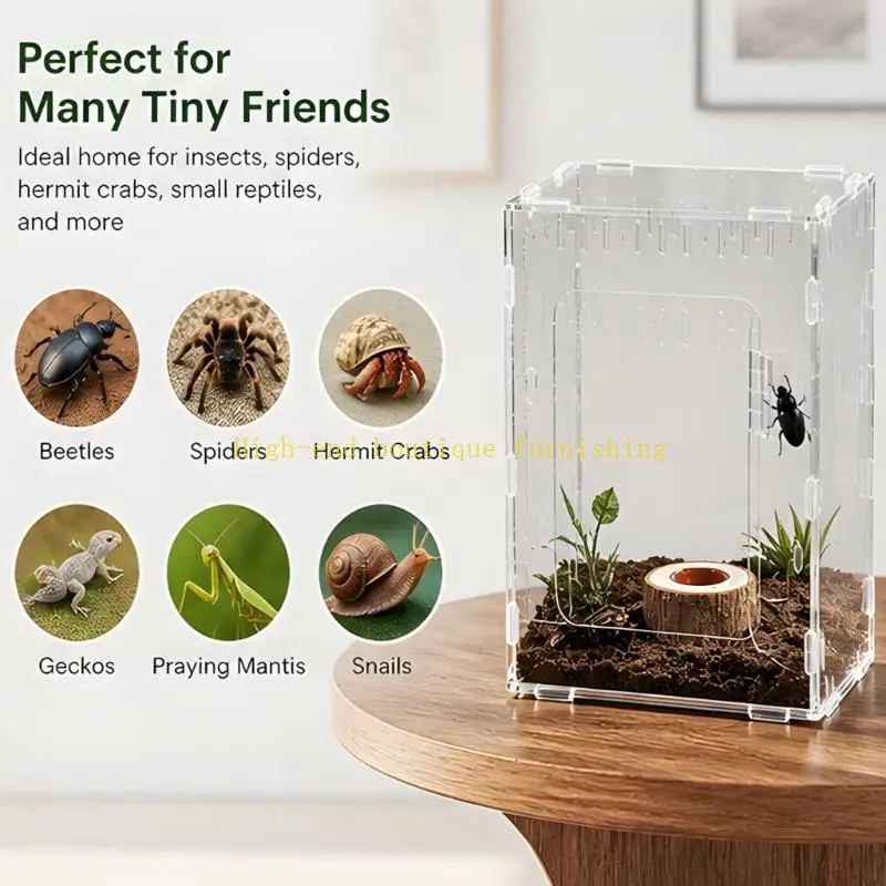 L9NB Clear Acrylic Observation Box with Single Front Access, Habitat Enclosure for Daily Viewing, Feeding Use, and Routine