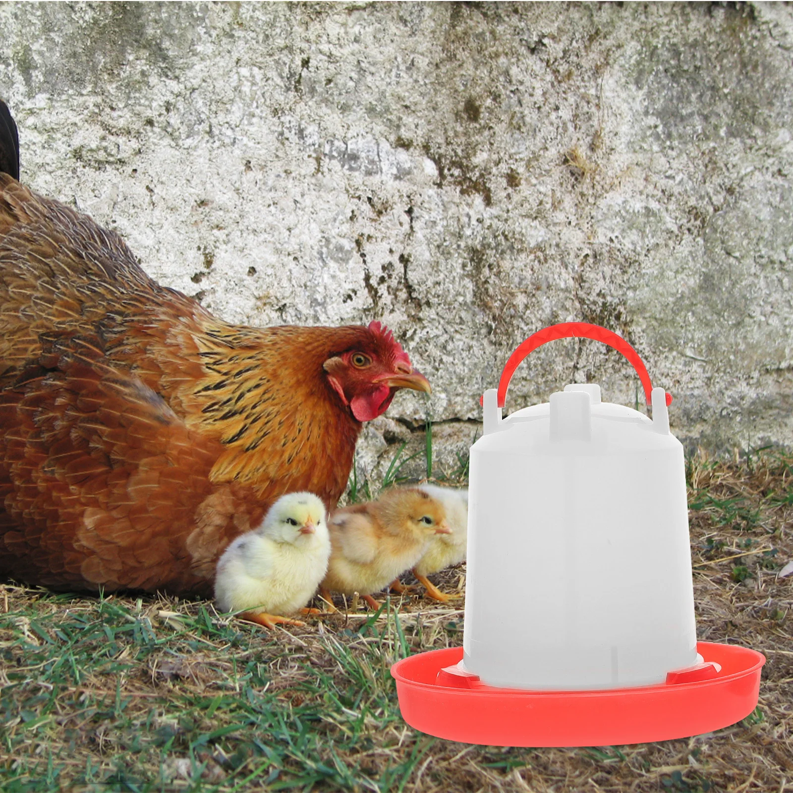 

1Set Automatic Chicken Feeder Set Transparent Durable Food Holder Convenient Chick Food Bowl Poultry Water Feeder
