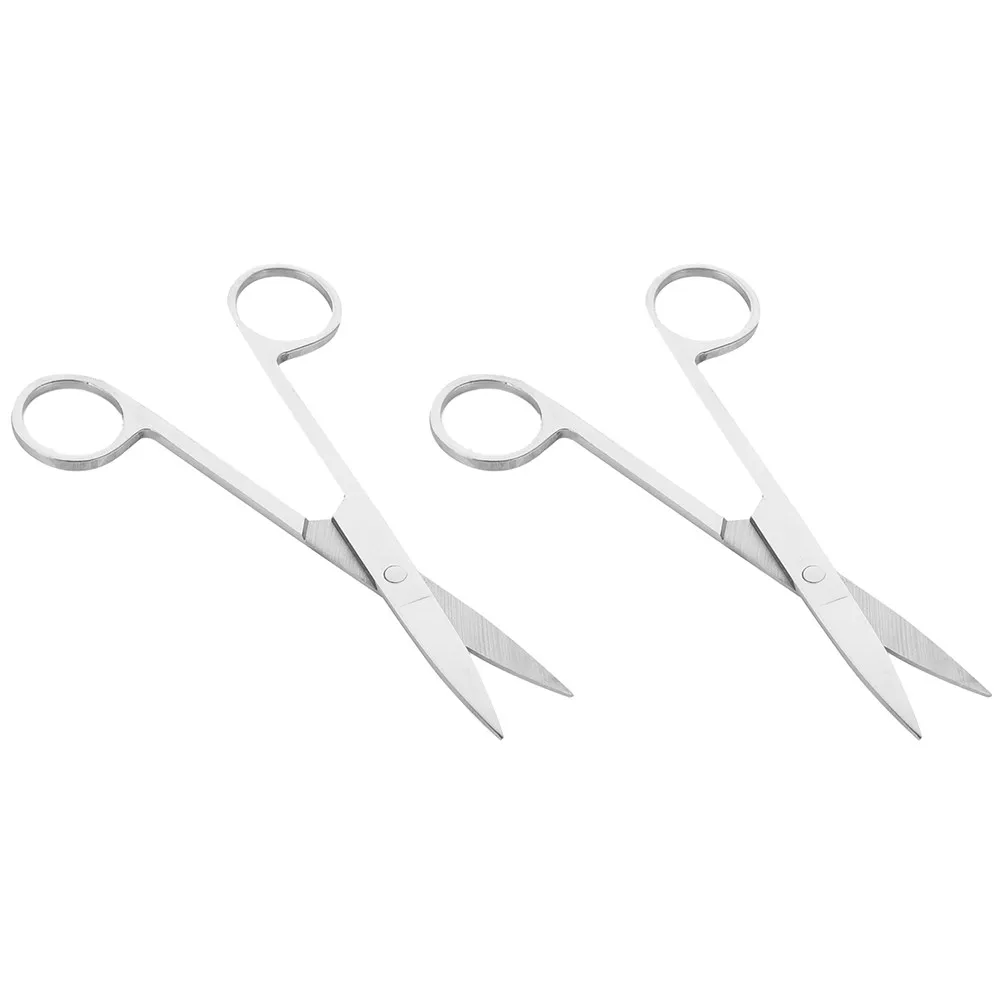 

2Pcs Nickel Plating Anatomy Scissors High Precision Surgical Grade for Medical Education Lab Dissection Animal Surgery Teaching