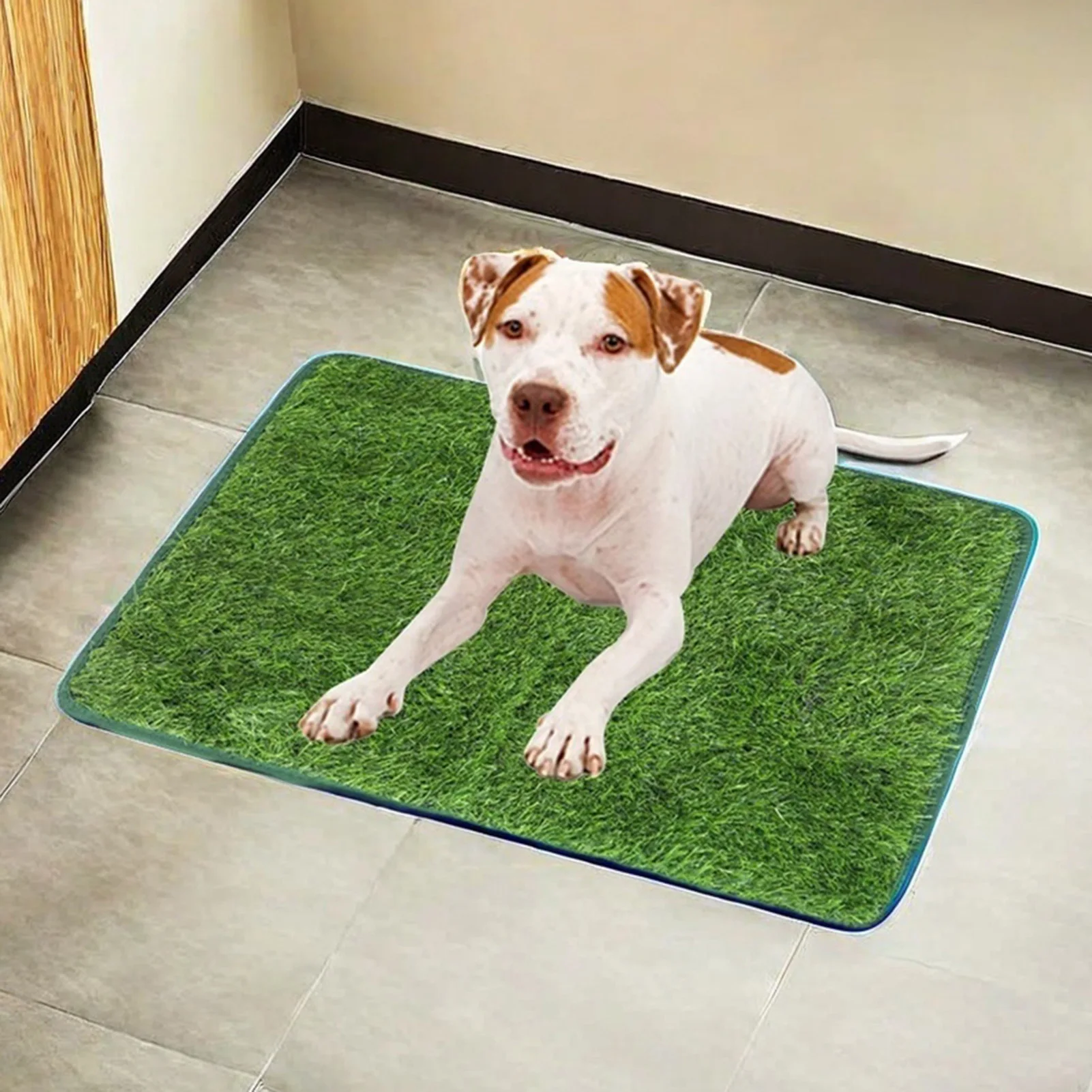 Thumbnail 2 - #40 Puppy Training Pads List of Top Picks