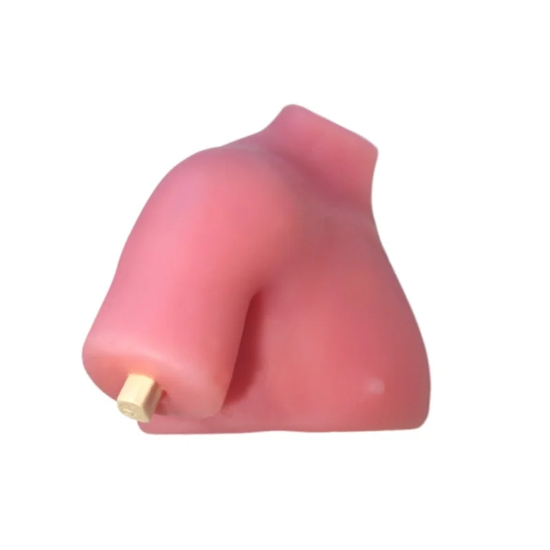 

unique Medical Science Arthroscopic Training Model of Shoulder for Teaching Shoulder Joint Model Silicone Soft